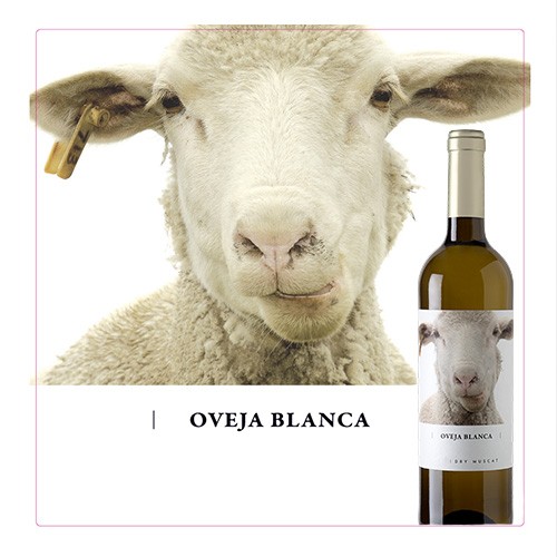Blog-Oveja-Blanca