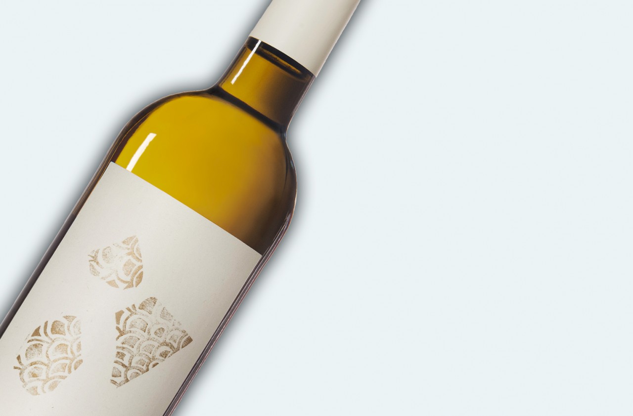 Wein-des-Monats-06-2022-Almodi-Petit-Blanc